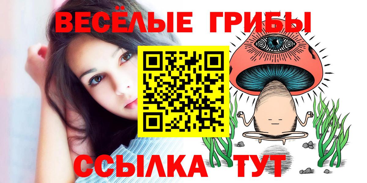 Псилоцибиновые грибы прущие грибы Прохладный