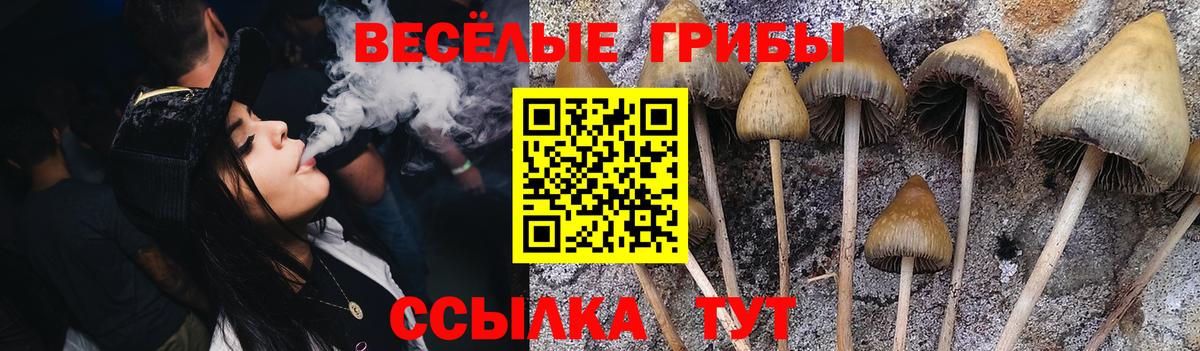 Прохладный  цена наркотик  Вход с VPN  Галлюциногенные грибы GOLDEN TEACHER  Псилоцибиновые грибы Magic Shrooms 